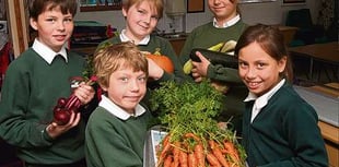 Charity boosted by Hollycombe harvest