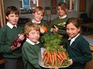 Charity boosted by Hollycombe harvest