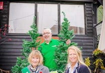 Pupils take on festive tree decorating challenge