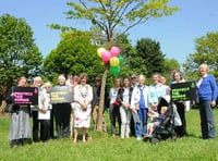 Haslemere group hosts refugee tea