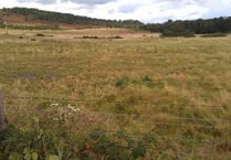 Old Thorns drops plans for a second golf course