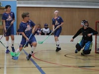 Farnham Fireballs outshine the Hawks
