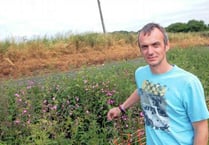 Environmental chaos after farm fertiliser tank attack