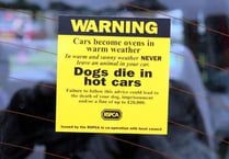Heat warning for dogs in cars