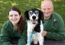 Recognition for joint animal welfare team