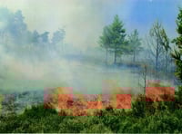 Firefighters stretched as grass fires rise 300 per cent