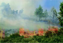 Firefighters stretched as grass fires rise 300 per cent