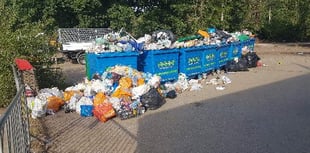 Council: Help is coming to Frensham Great Pond