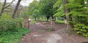 Stop village’s vandals