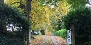 Cllr Carole Cockburn: Negligence, not No10, to blame for plan delays