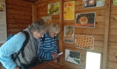 Botanical visitors at Haslemere Museum and Swan Barn Farm