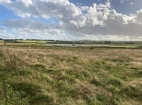 Future of Tice's Meadow Nature Reserve secured as councils complete purchase