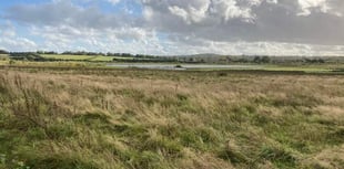 Future of Tice's Meadow Nature Reserve secured as councils complete purchase