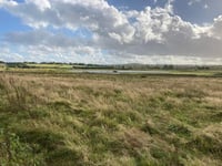 Future of Tice's Meadow Nature Reserve secured as councils complete purchase