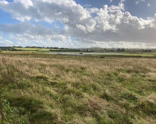 Future of Tice's Meadow Nature Reserve secured as councils complete purchase