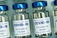 Covid-19 daily update: East Hampshire