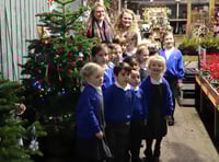 South Farnham School is top of the tree