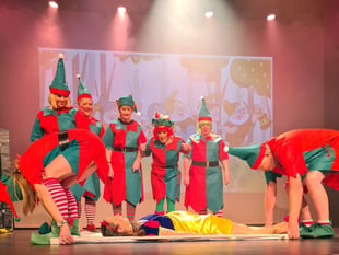 Panto of elf and safety