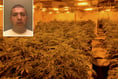 Drug lord jailed after huge cannabis factory discovered in Farnham
