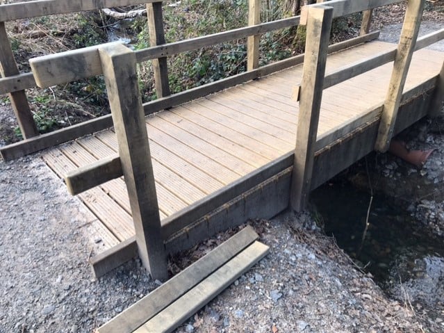 Damage in the Deadwater Valley Local Nature Reserve caused by the chainsaw vandals