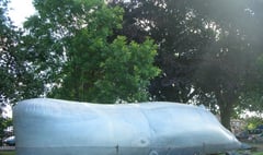 Inflatable whale coming to Haslemere Educational Museum
