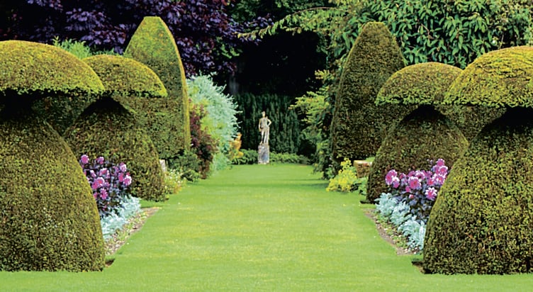 Hinton Ampner avenue of hedges.