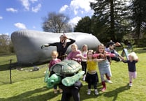 Whale of a time at Haslemere Educational Museum