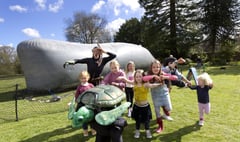 Whale of a time at Haslemere Educational Museum