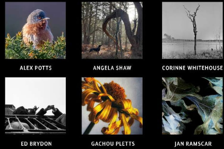 Kiln Photo work for Surrey Artists Open Studios 2022.