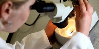 Cervical Screening Awareness Week: uptake falls across Hampshire