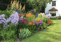 Binsted Place to open garden gates this September in aid of church