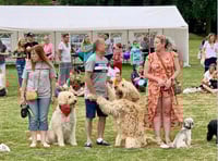 Wrecclesham Village Fete back this Sunday – with first ever tug o' war