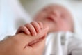 Fertility rate rises in East Hampshire