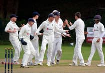Alton Cricket Club promoted to Southern Premier League Premier Division with win