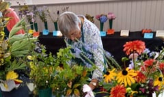 Fernhurst Horticultural Society holds successful autumn show