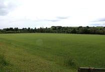 Row over access to Alresford rugby pitches