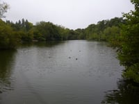 Save Kings Pond campaign founder backs dredging option