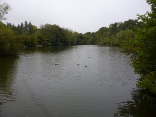 Save Kings Pond campaign founder backs dredging option