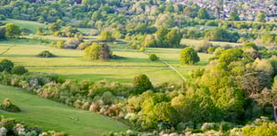 Dementia-friendly walk and scavenger hunt in Farnham Park next week