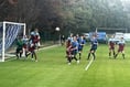 Coach quits as Farnham Town look to bring in new boss