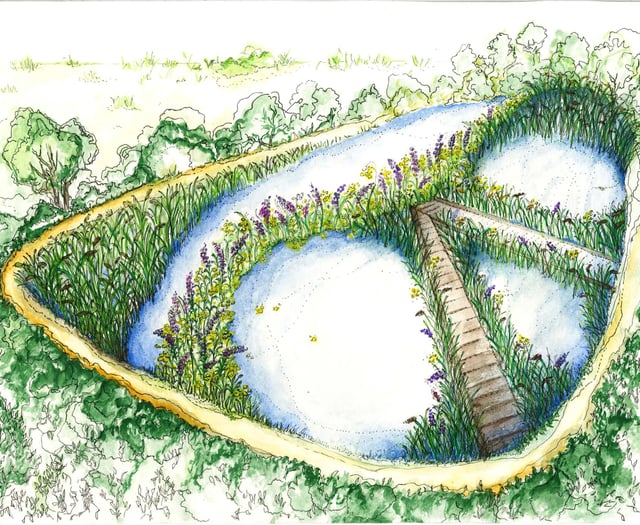 Fears that plans for Kings Pond in Alton will harm fish and birds