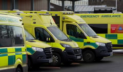 One in eight ambulance patients waited more than an hour at Hampshire Hospitals Trust last week