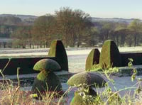Top winter walks in Hampshire, and why... with the National Trust