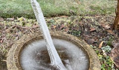 Rare natural phenomenon in Hindhead after freezing temperatures