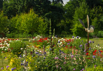 Call for gardeners to open up for Phyllis Tuckwell's Open Gardens