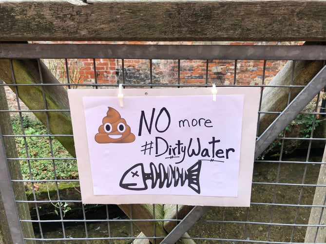 An Extinction Rebellion poster by the River Wey in Alton