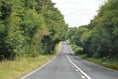 Driver was double the legal drink-drive limit on A286 Haslemere Road