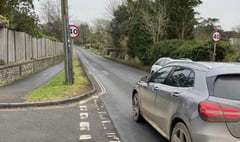 Appeal for councillors in Petersfield to unite on traffic calming plan