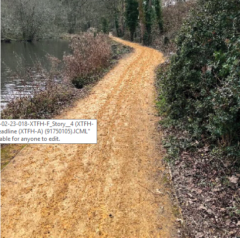 Letter: Why can't Alton Town Council just  replace Kings Pond path?