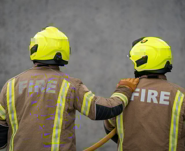 More fires in Hampshire and the Isle of Wight during last year's record heatwave